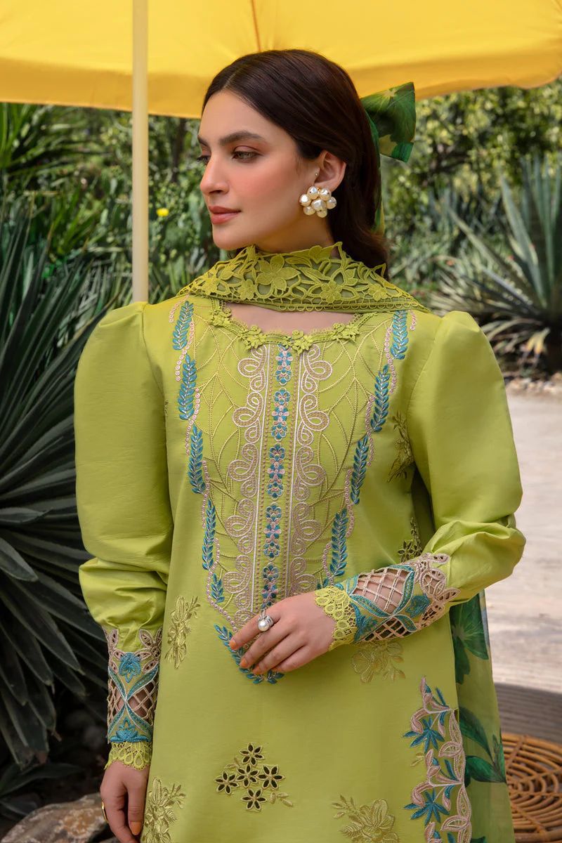 Lawn Collection - Rang Rasiya - Carnation Festive Edit